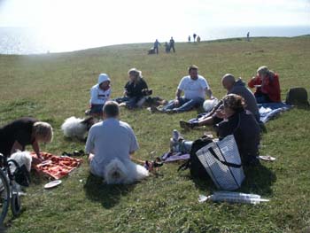 picnic