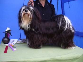 tjusig flicka