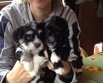 stella&alice